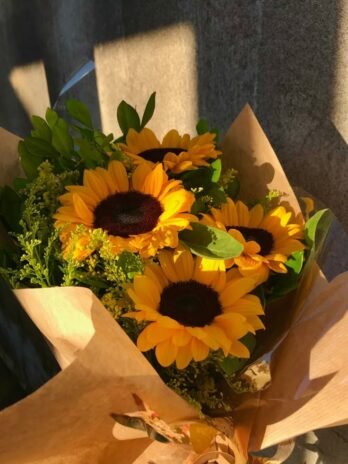 sunflowers