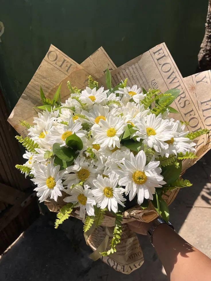 Chamomile – Image 3