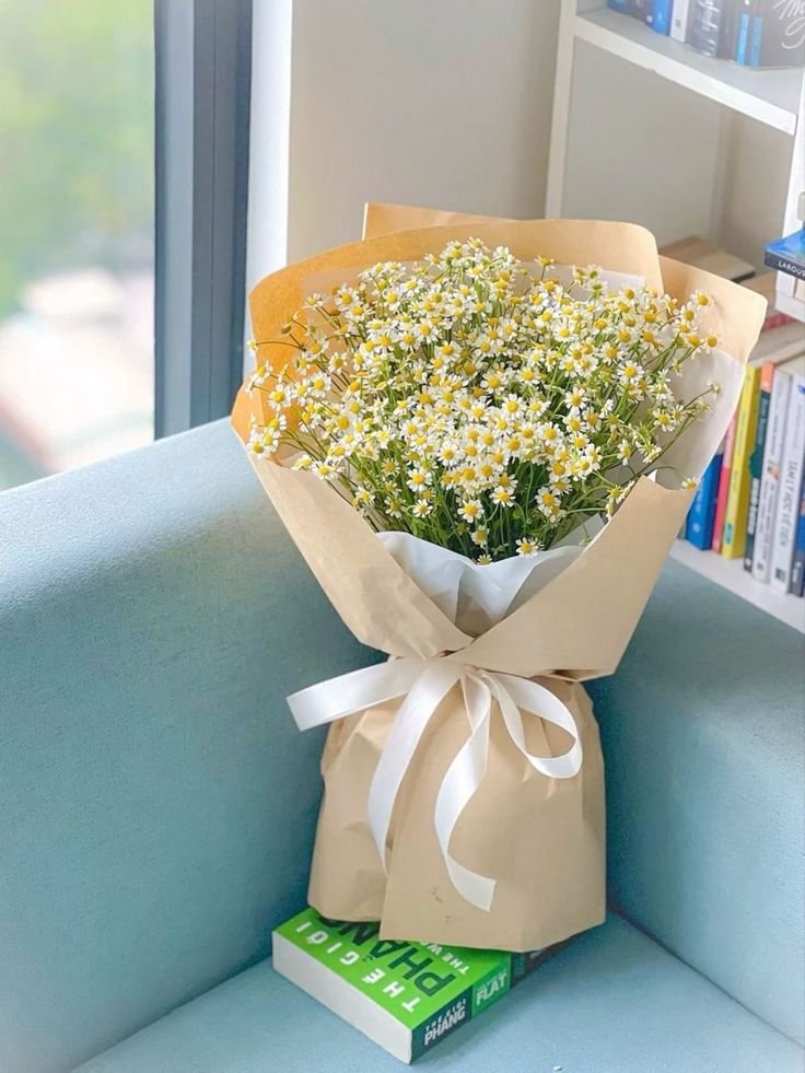 Chamomile – Image 4